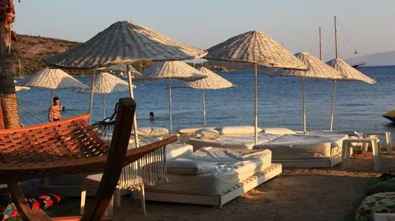 Okaliptus Hotel | Muğla - Bodrum - Bitez