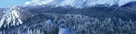 Ilgaz Nolana Mountain Resort | Çankırı - Ilgaz