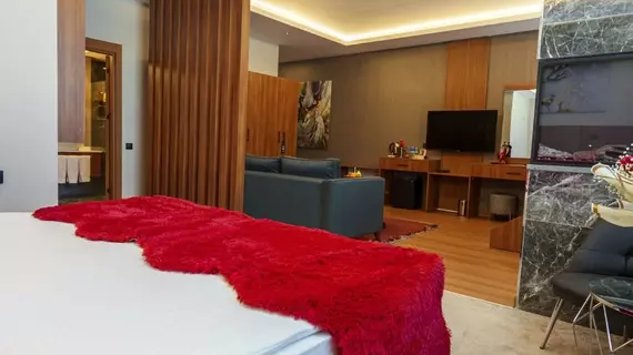 Library Hotel Erciyes | Kayseri