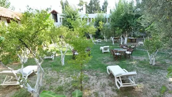 Okaliptus Hotel | Muğla - Bodrum - Bitez