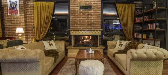 Library Hotel Erciyes | Kayseri