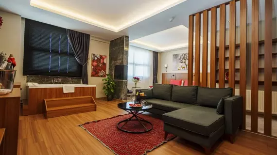 Library Hotel Erciyes | Kayseri