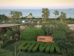 Tamra Beach Resort | Güney Sina (il) - Şarm El Şeyh (ve civarı) - Şarm El-Şeyh