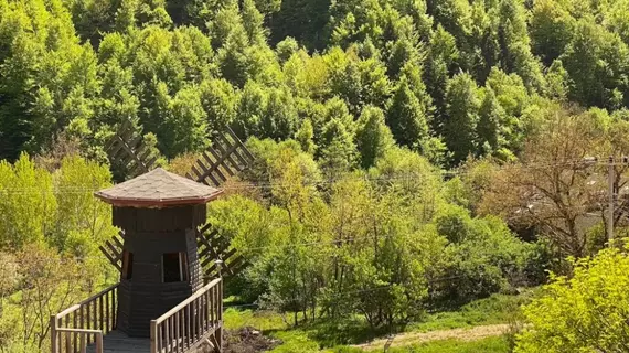 Abant Bungalov Evleri | Bolu - Mudurnu - Dereceören