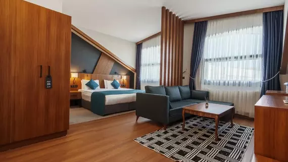 Library Hotel Erciyes | Kayseri