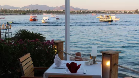 Lido Sharm | Güney Sina (il) - Şarm El Şeyh (ve civarı) - Şarm El-Şeyh